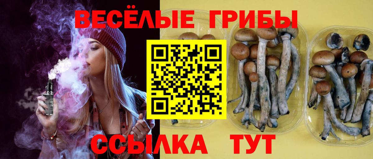 Псилоцибиновые грибы мицелий Нерюнгри